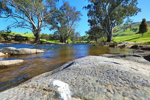 Elm Cottage Tumut