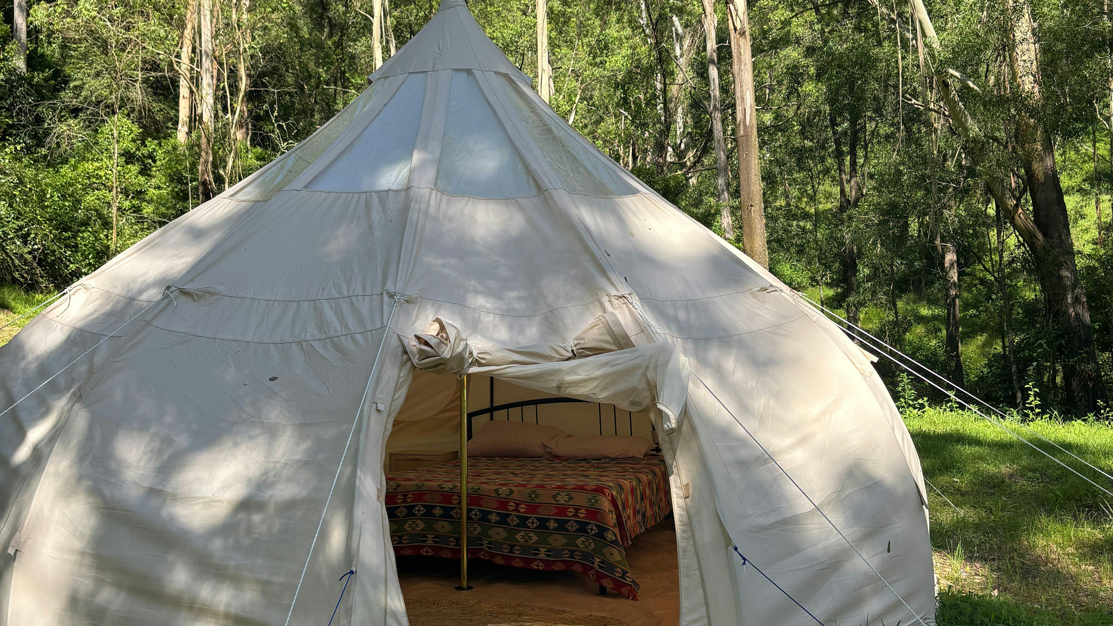 Glamping Around An Ancient Tree