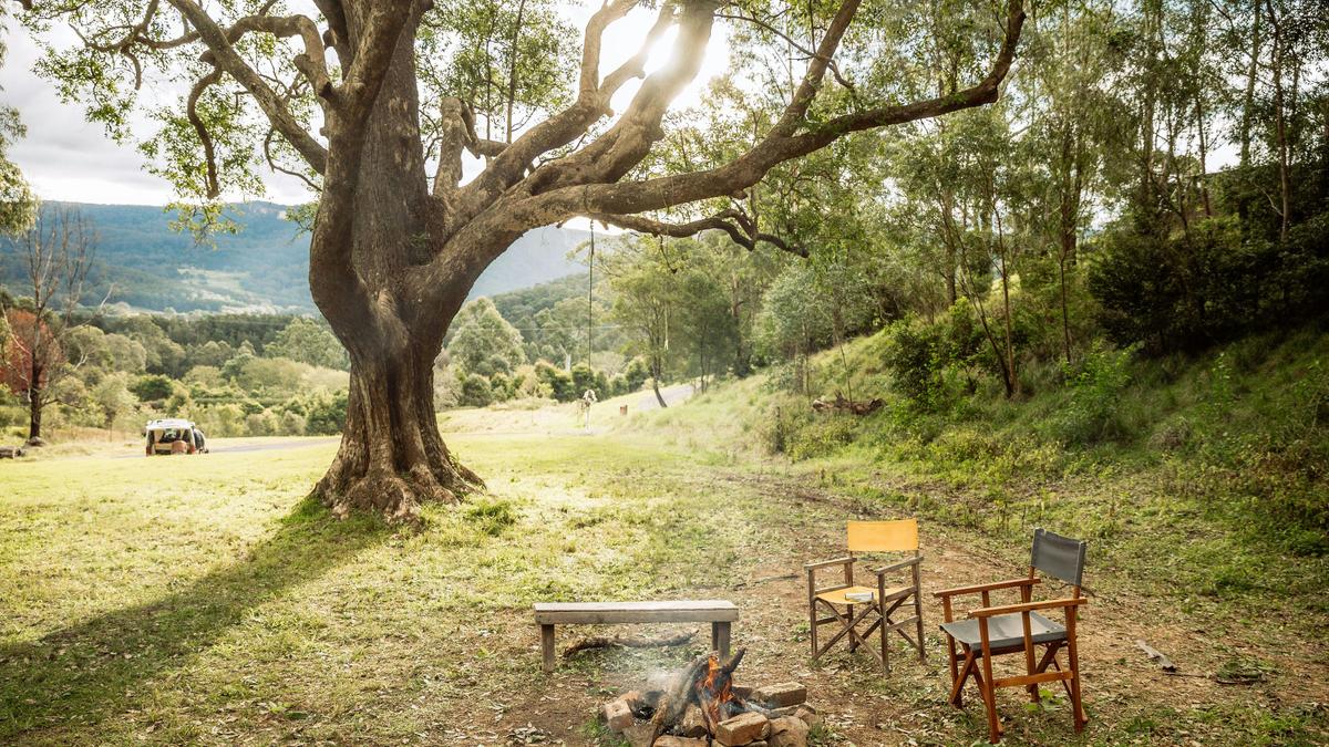 Glamping Around An Ancient Tree