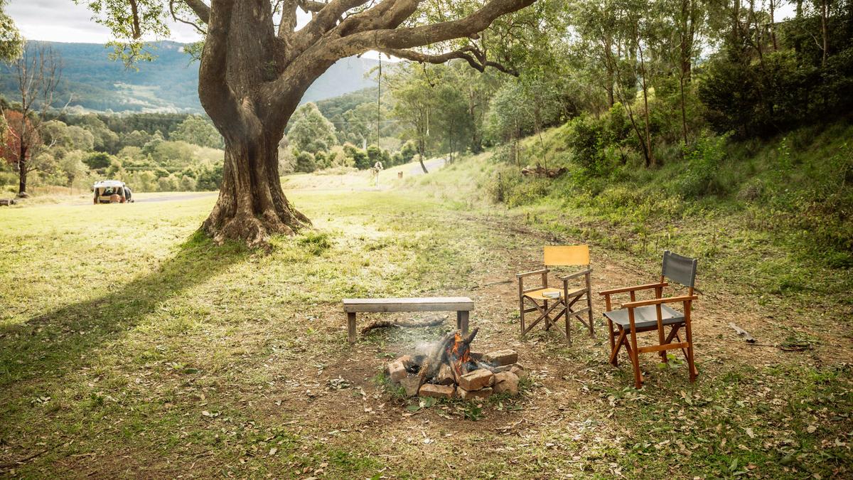 Glamping Around An Ancient Tree