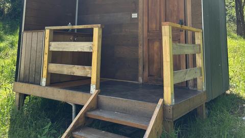 Glamping Around An Ancient Tree