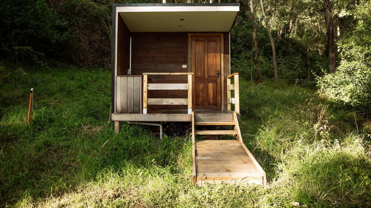 Glamping Around An Ancient Tree