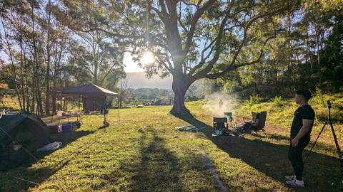 Glamping Around An Ancient Tree