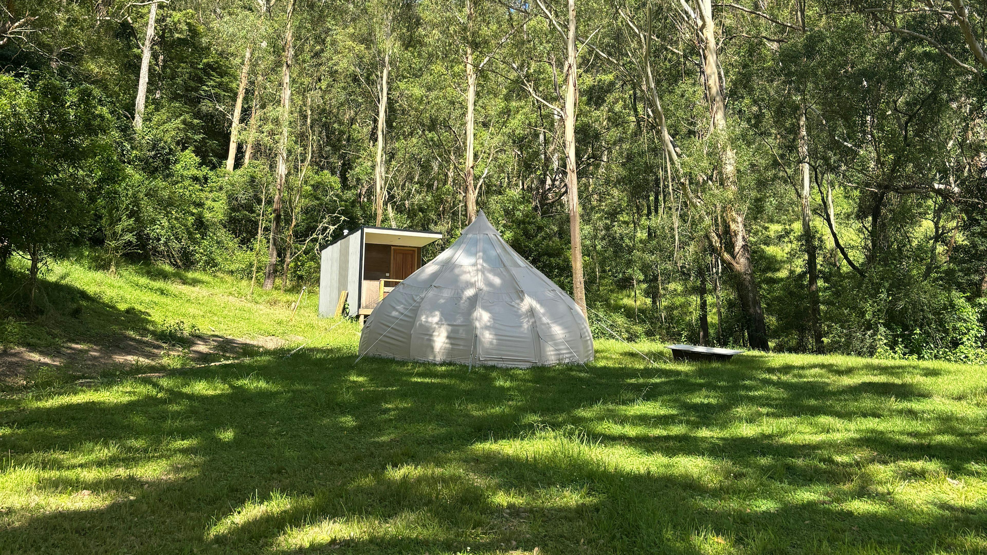 Glamping Around An Ancient Tree