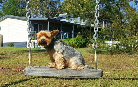 Finchley Bed and Breakfast