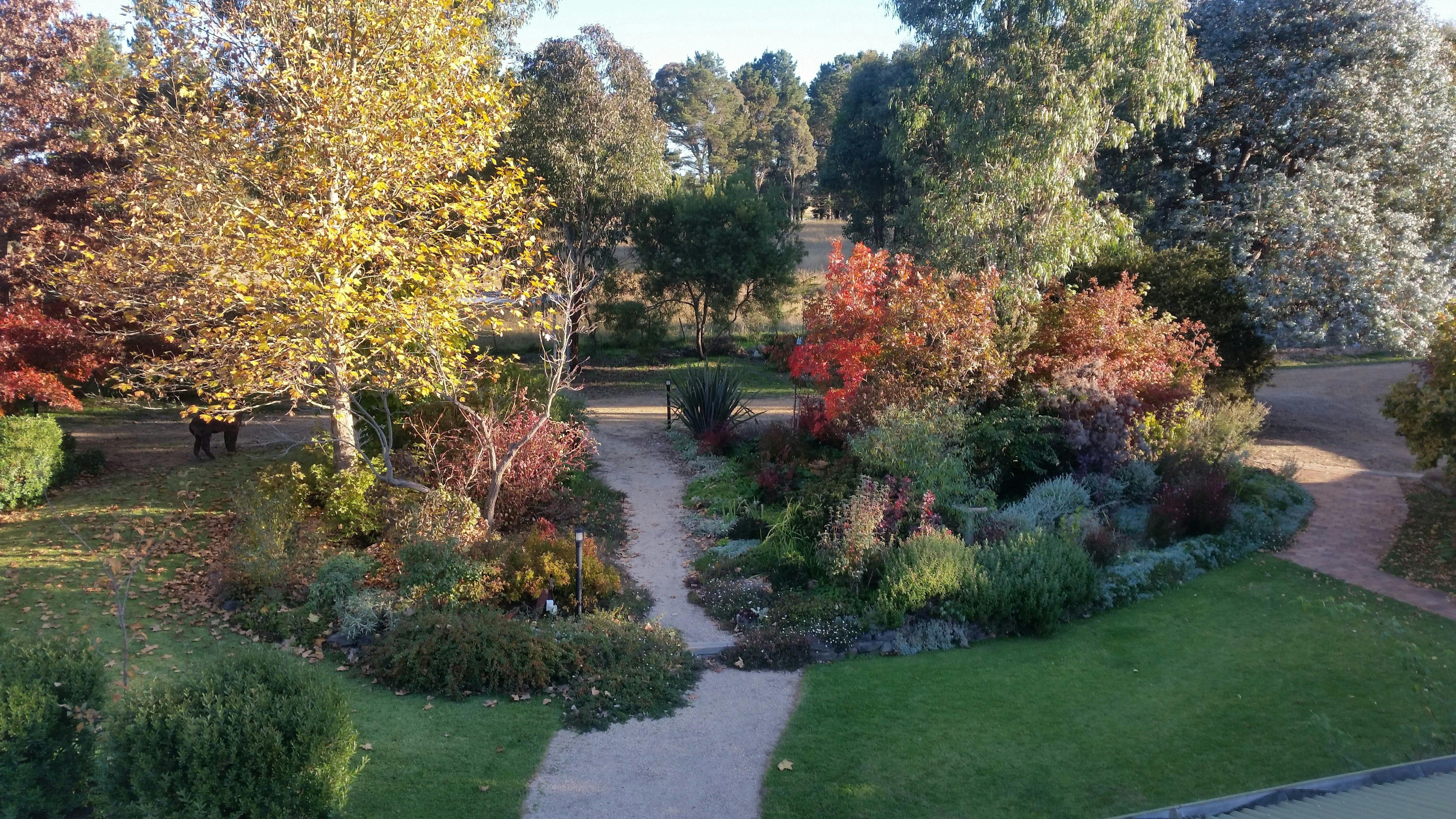 Rambling Gardens at Glenhope