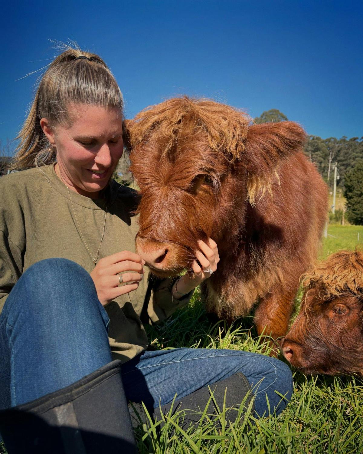 Meet our Fluffy Cows