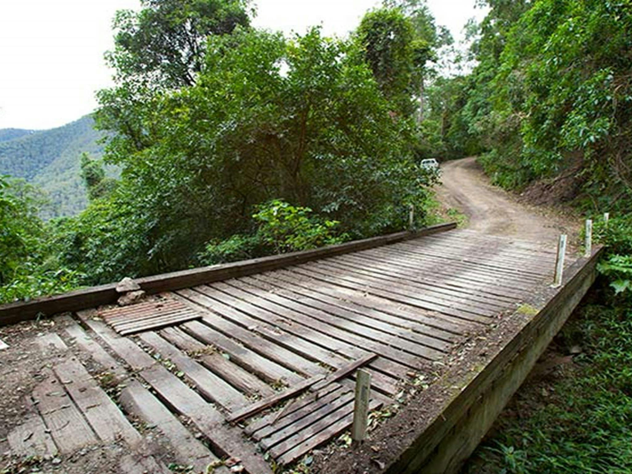 Bridge through Dunggir, Dunggir National Park. Photo: Robert Cleary &copy; DPIE