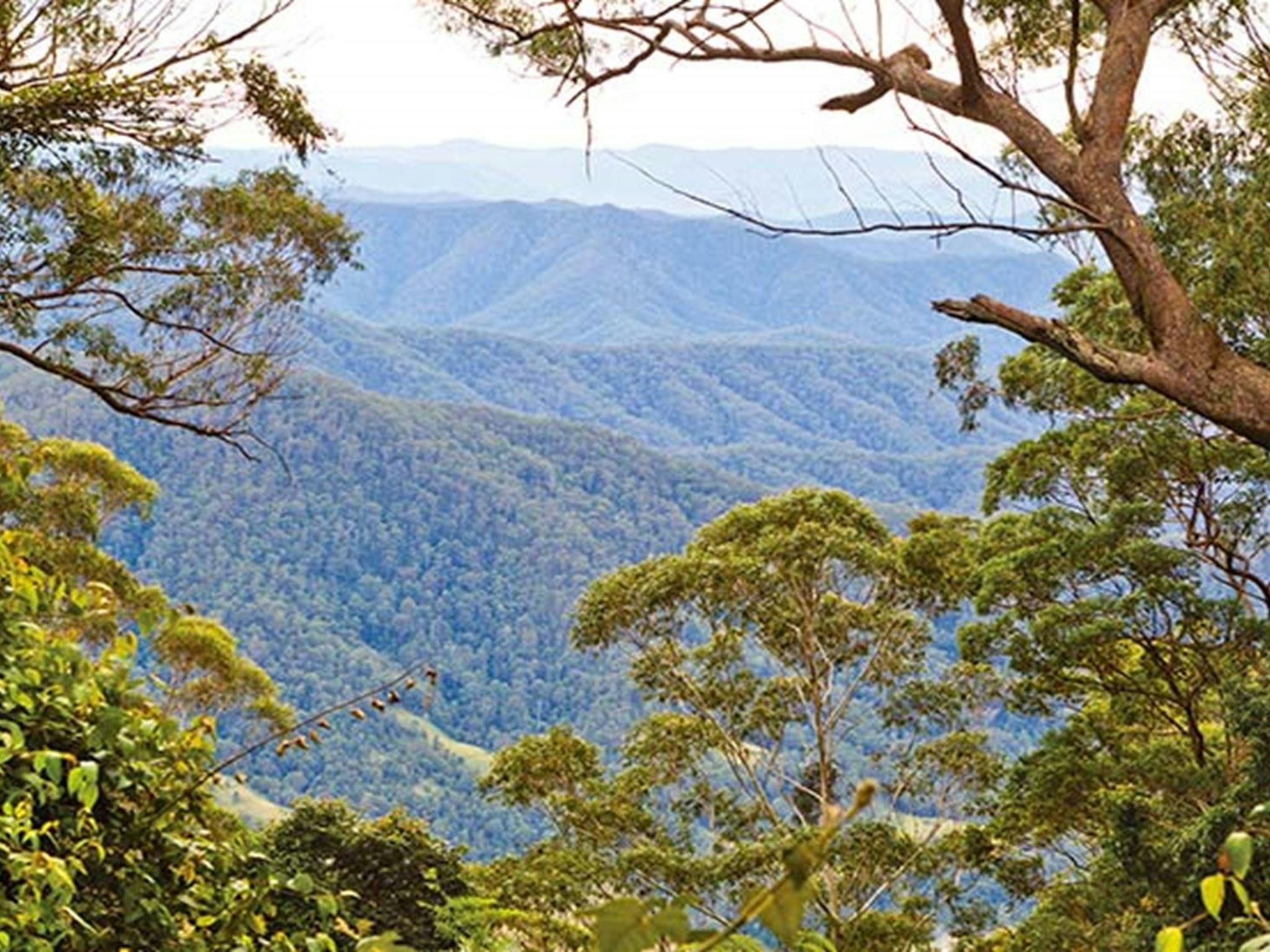 Scenic views, Dunggir National Park. Photo: Robert Cleary &copy; DPIE