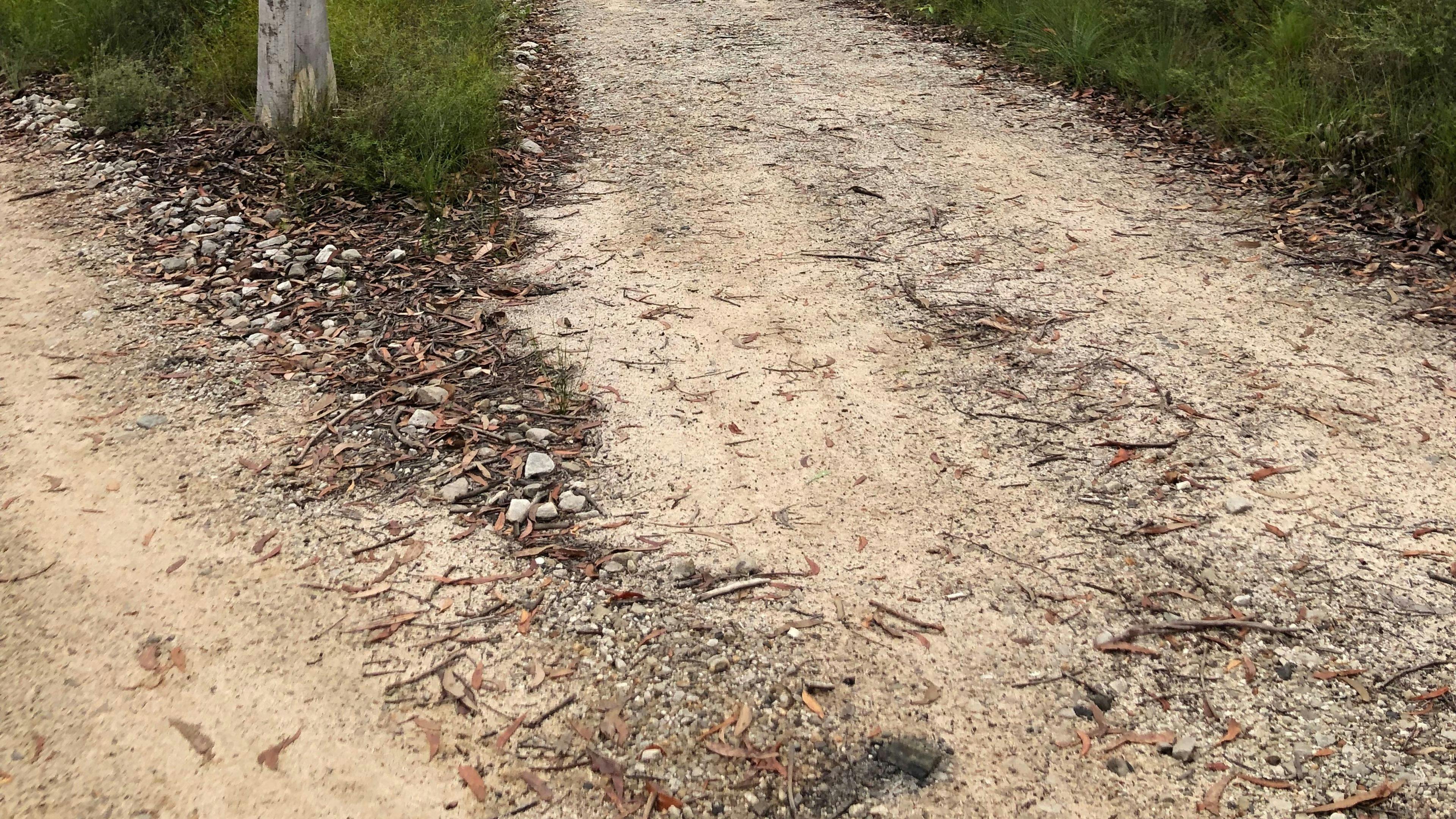 Groundswell Guest Camp