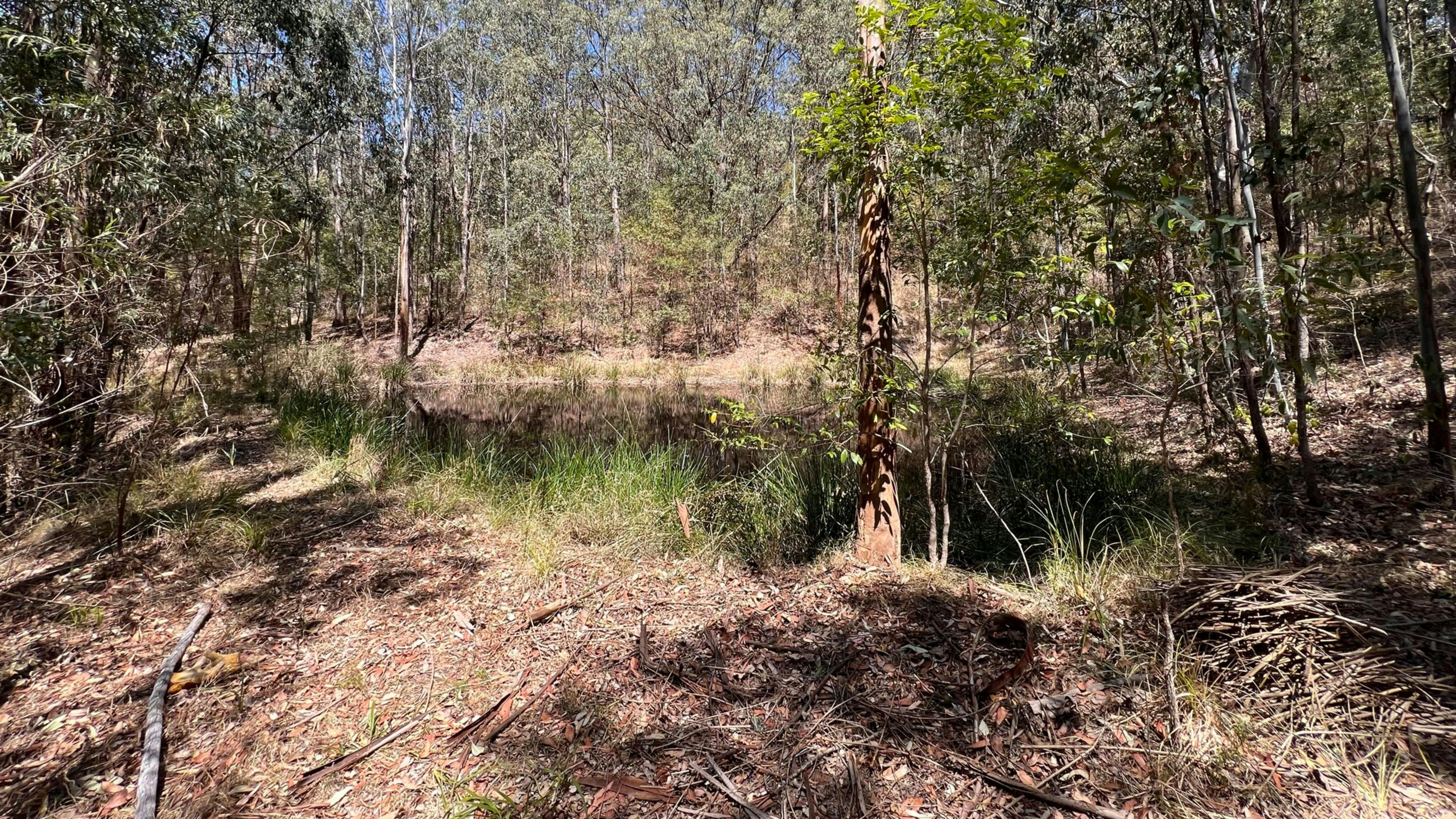 Pristine dams that you can swim in
