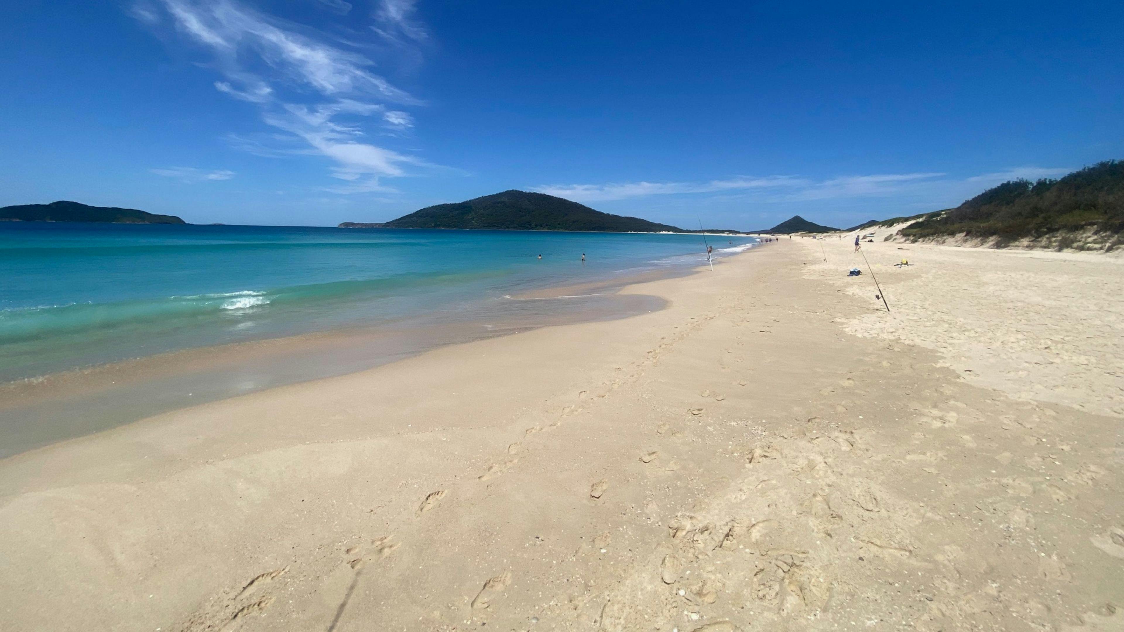 Fame Mountain Camp - pets welcome