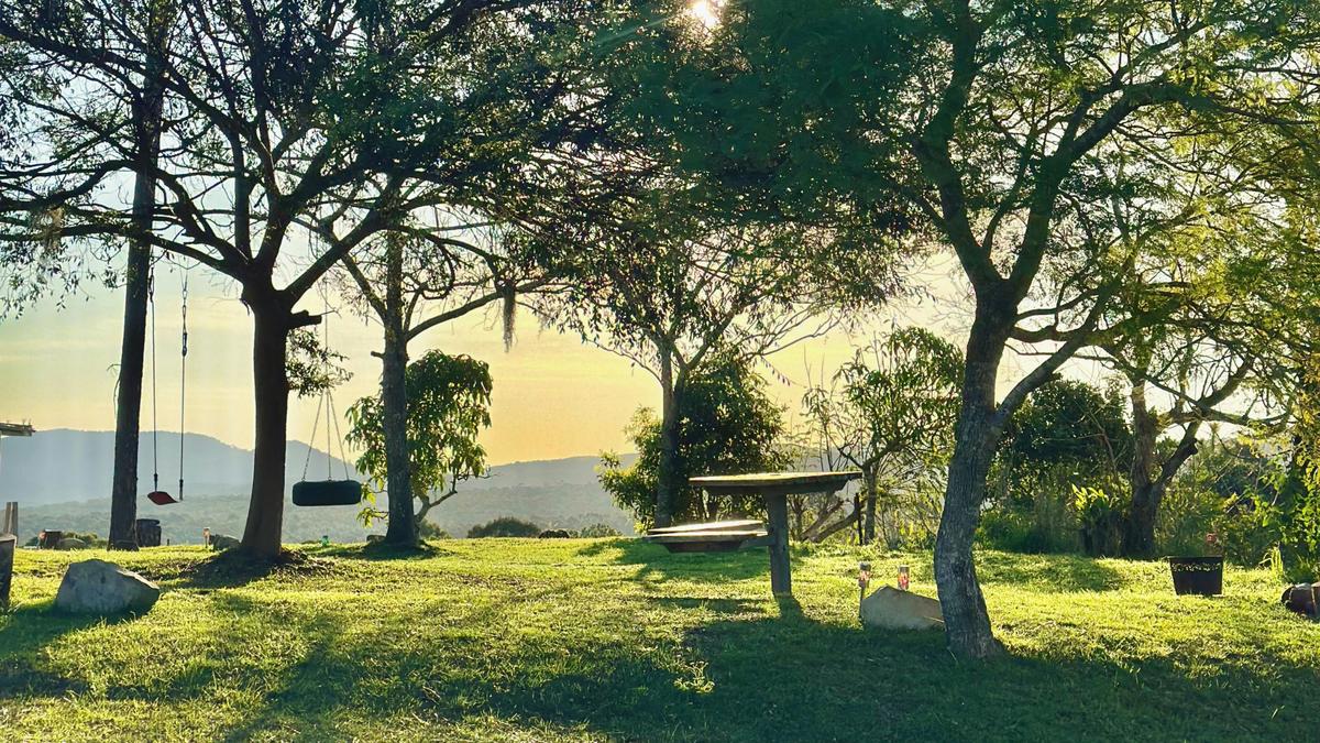 Fame Mountain Camp - pets welcome