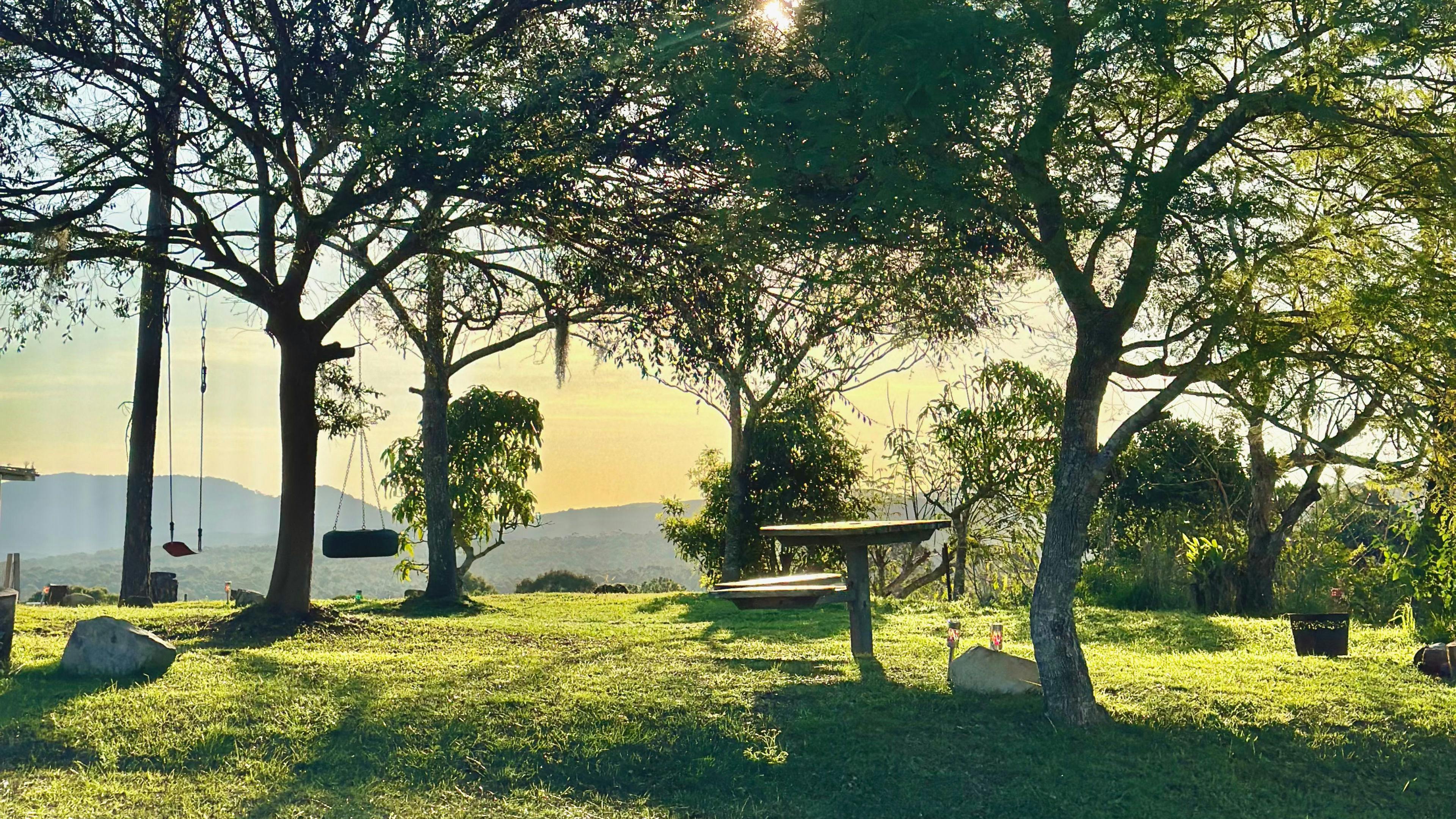 Fame Mountain Camp - pets welcome