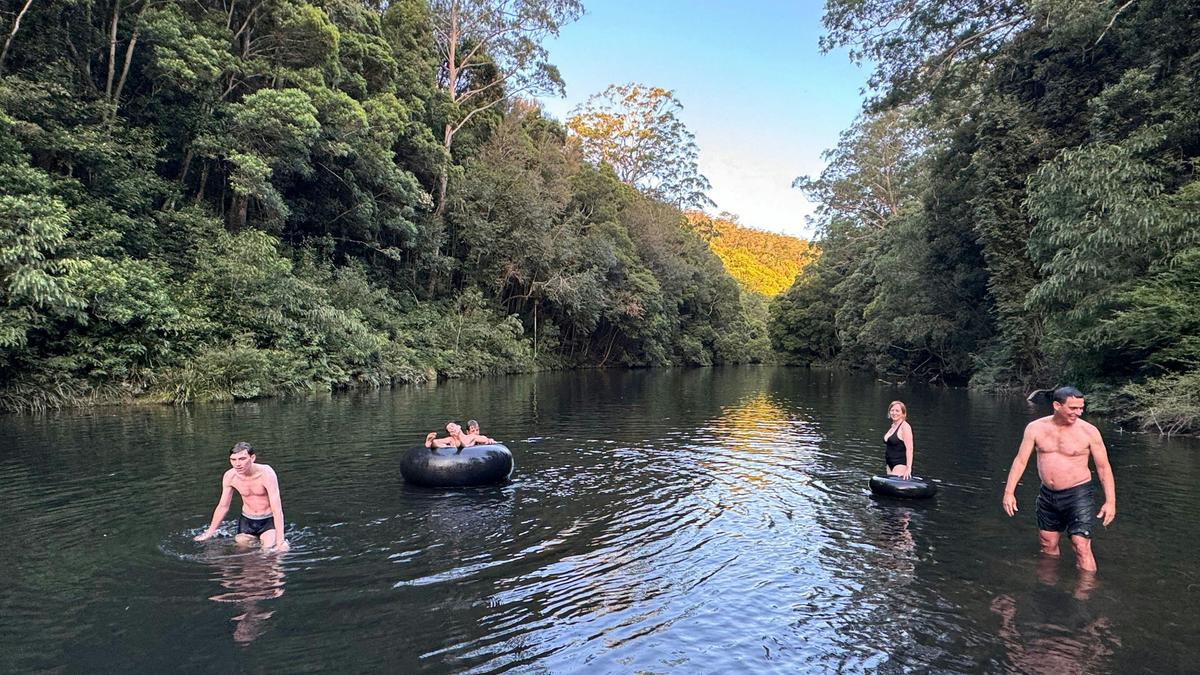 Frog Hollow Rainforest Camping
