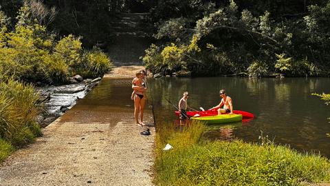 Frog Hollow Rainforest Camping