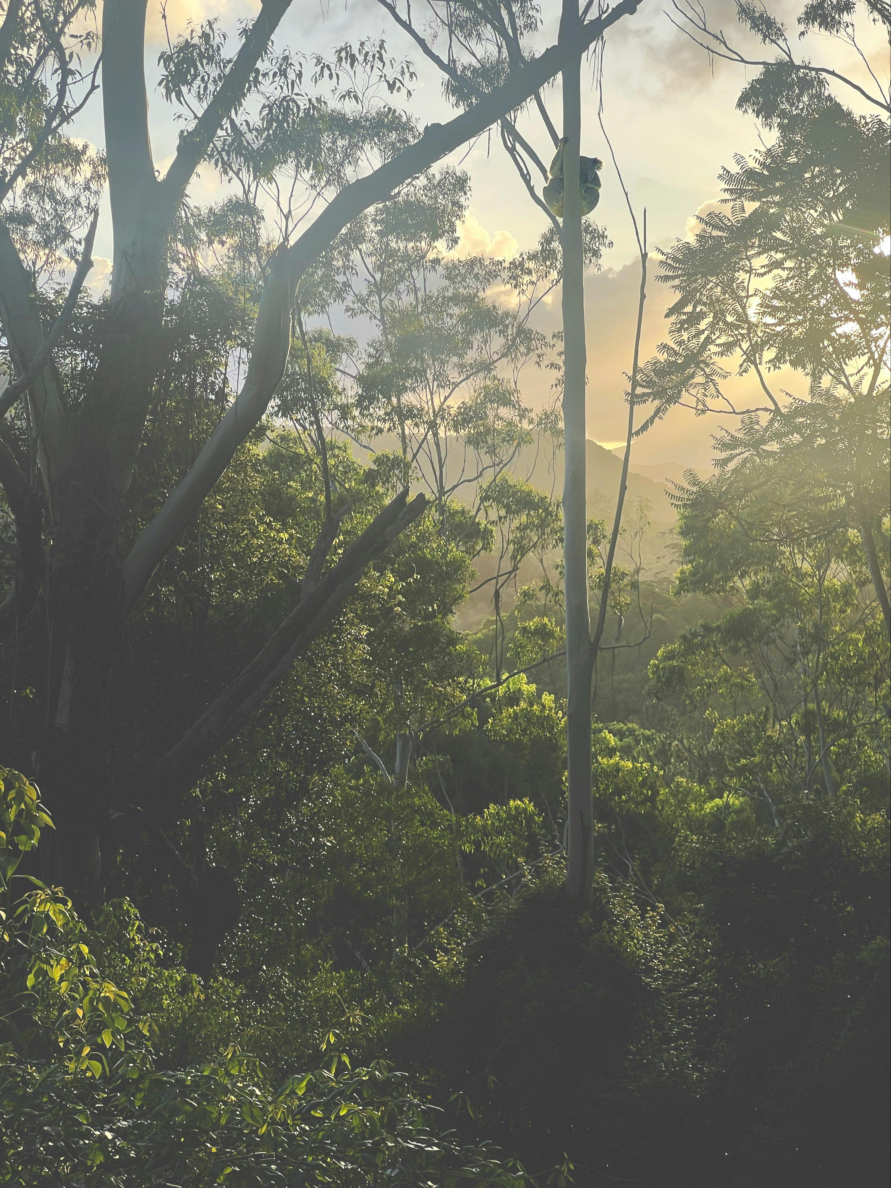 Land for Conservation