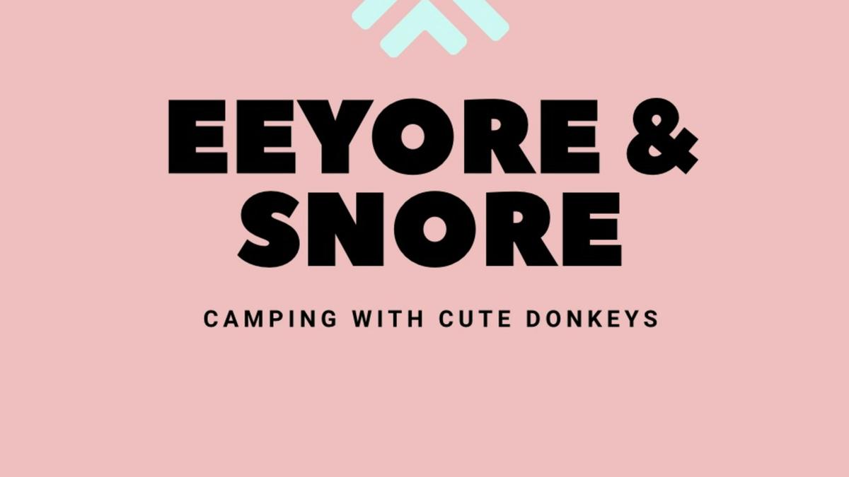 Eeyore And Snore Hunter Valley