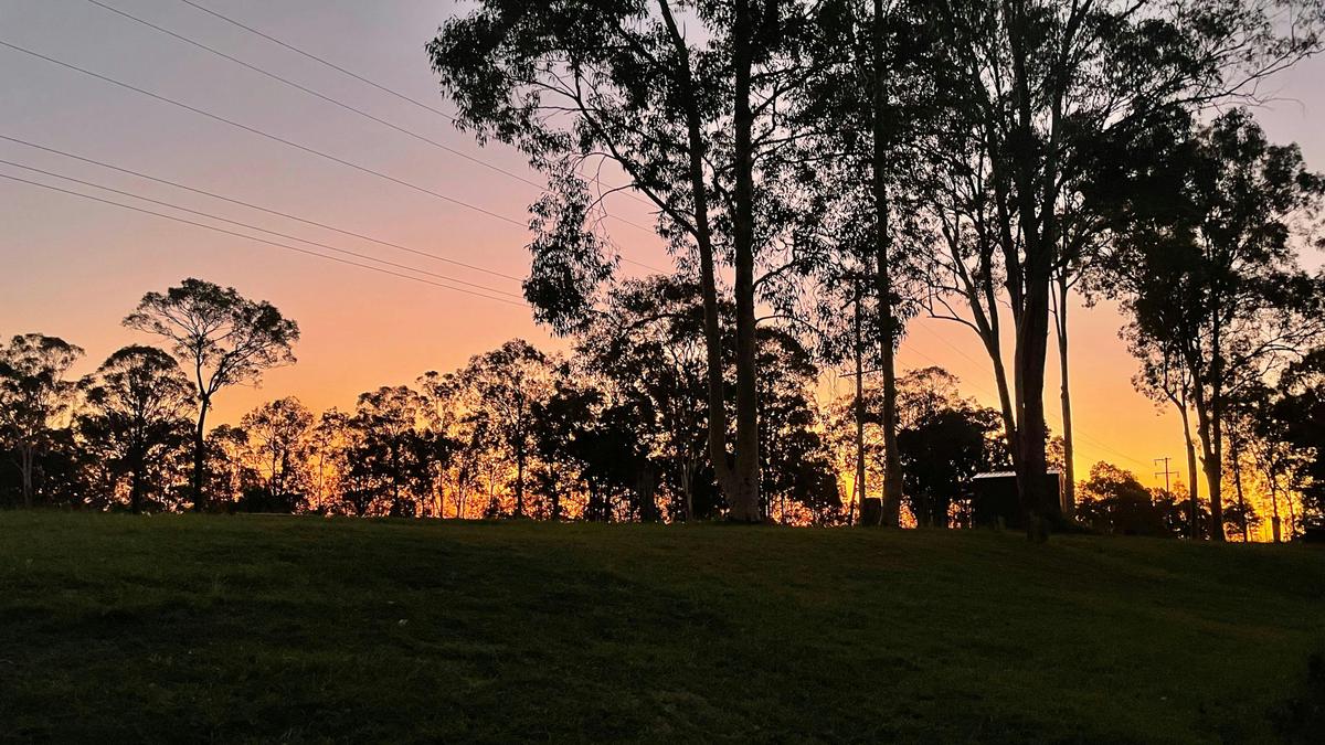 Eeyore And Snore Hunter Valley