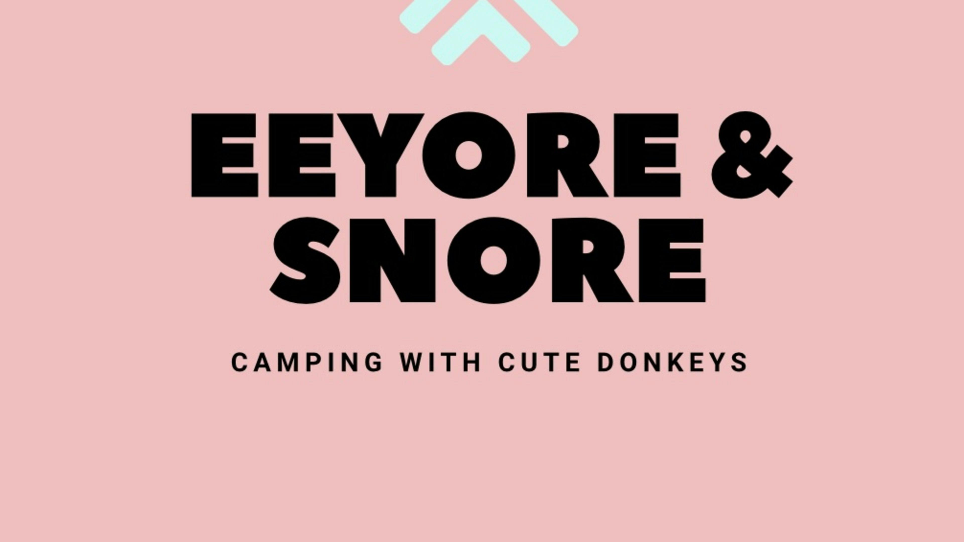 Eeyore And Snore Hunter Valley