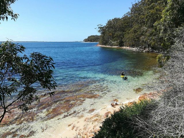 Fly Point - Halifax Park Aquatic Reserve