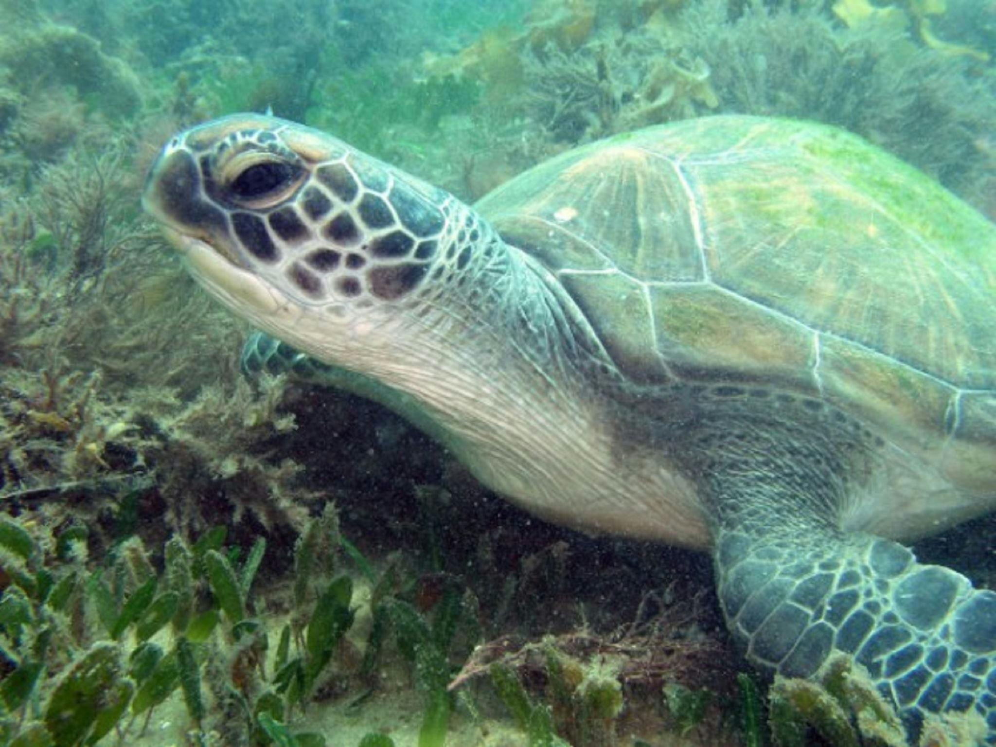 Fly Point - Halifax Park Aquatic Reserve