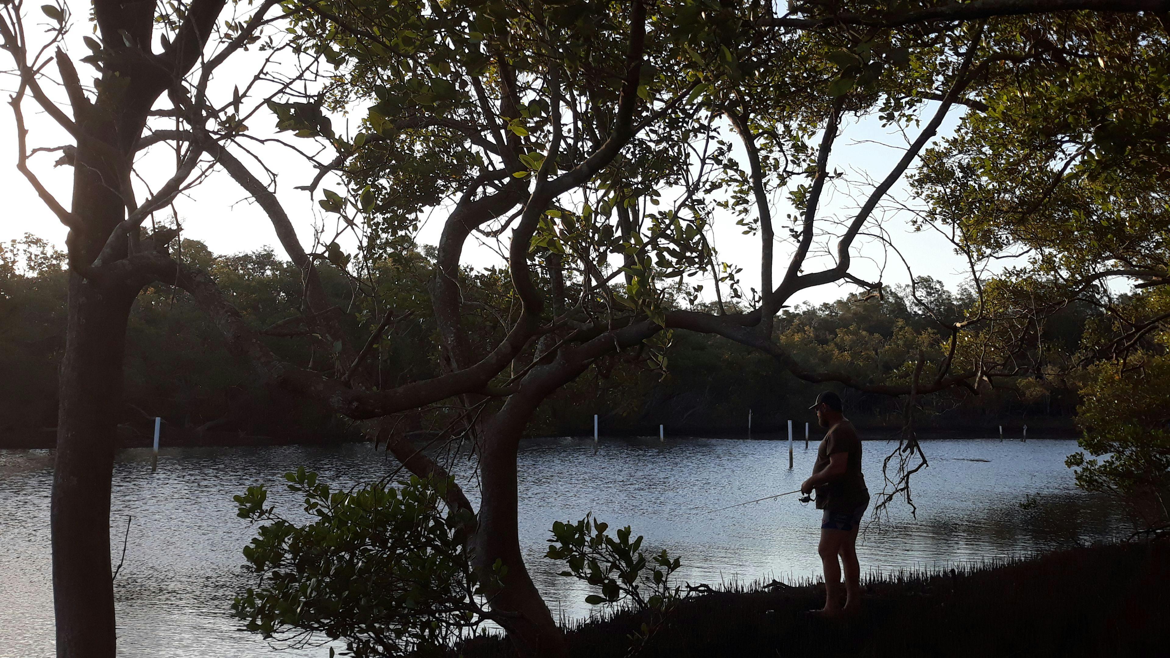 Fishing on creek edge 