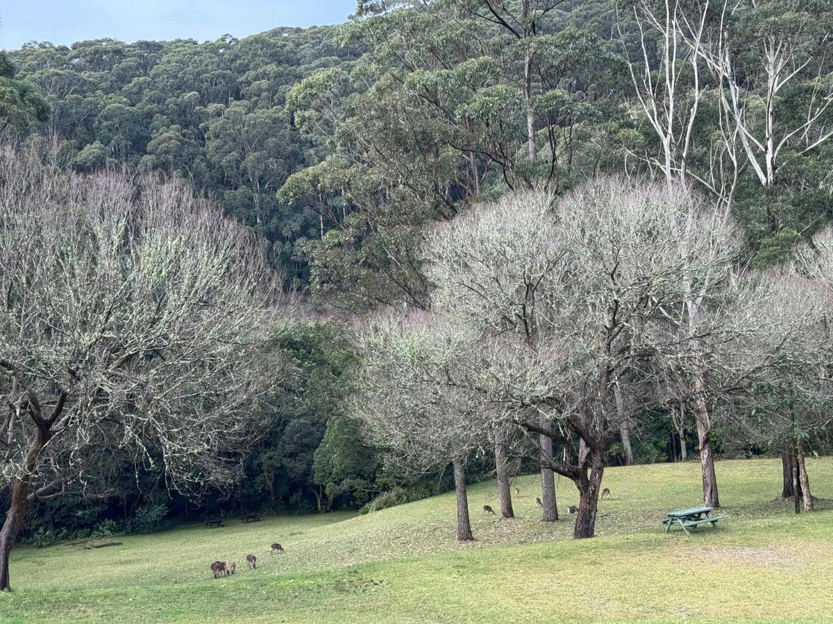 Heart and Soul Retreats