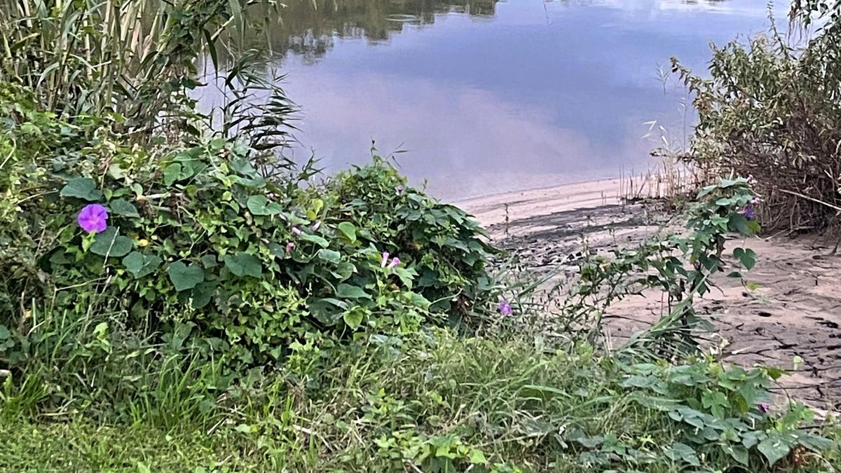 Hawkesbury Hideaway