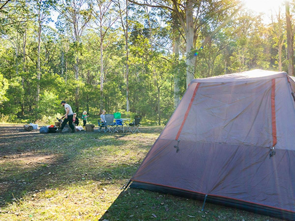 Family relaxing by their tent in Redgum section of Euroka campground. Photo: OEH/Simone Cottrell