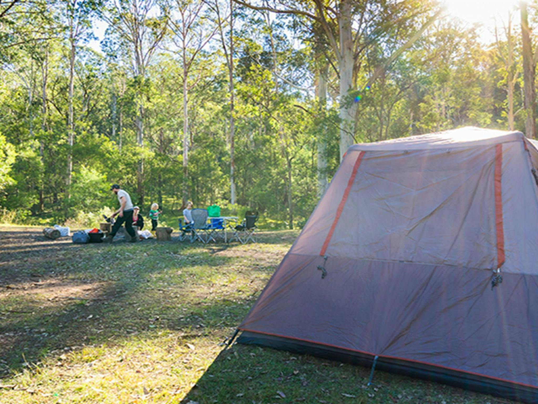 Family relaxing by their tent in Redgum section of Euroka campground. Photo: OEH/Simone Cottrell