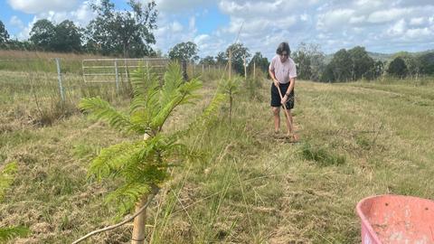 Eden Creek Sanctuary