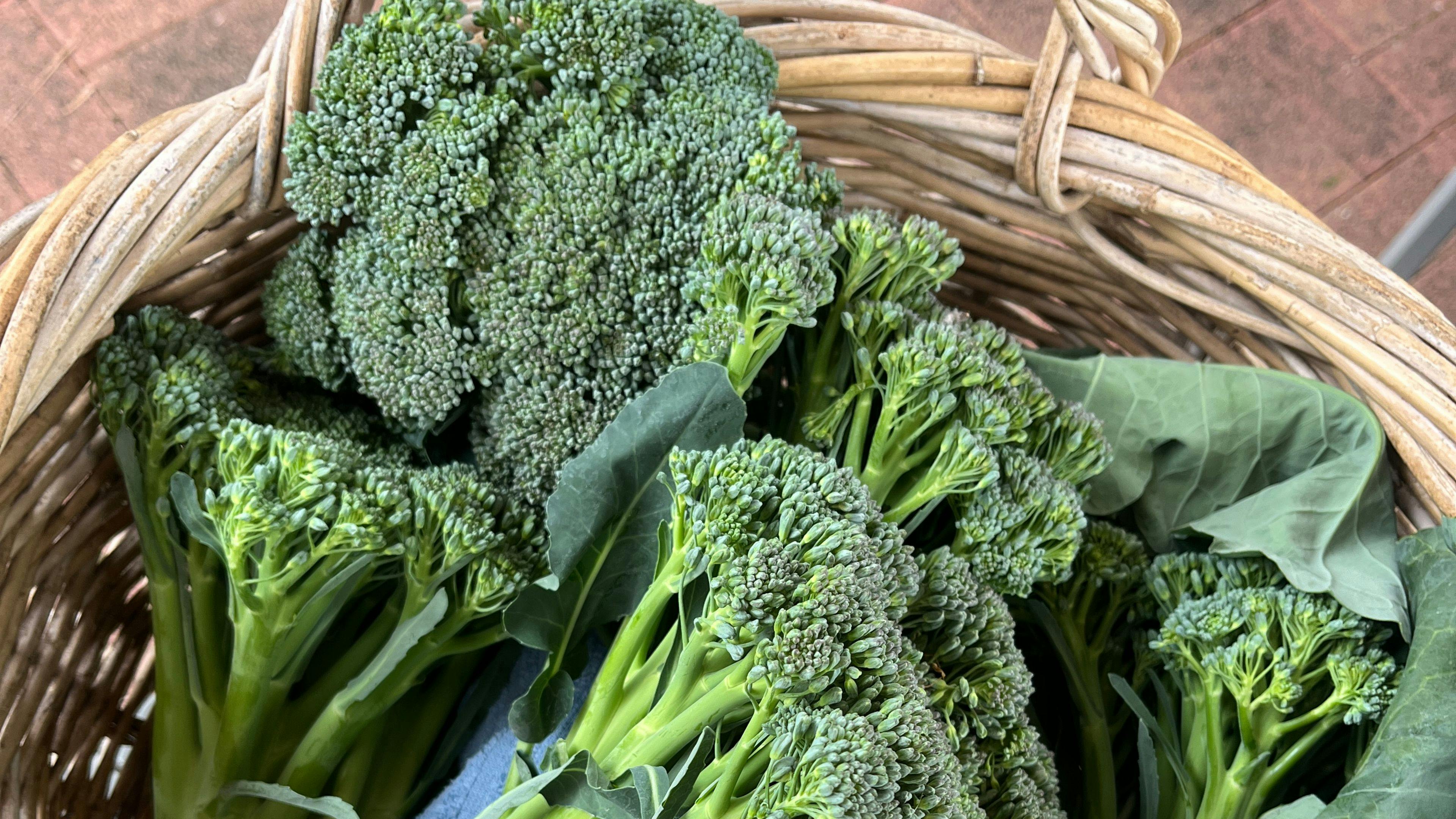 Eden Creek Sanctuary