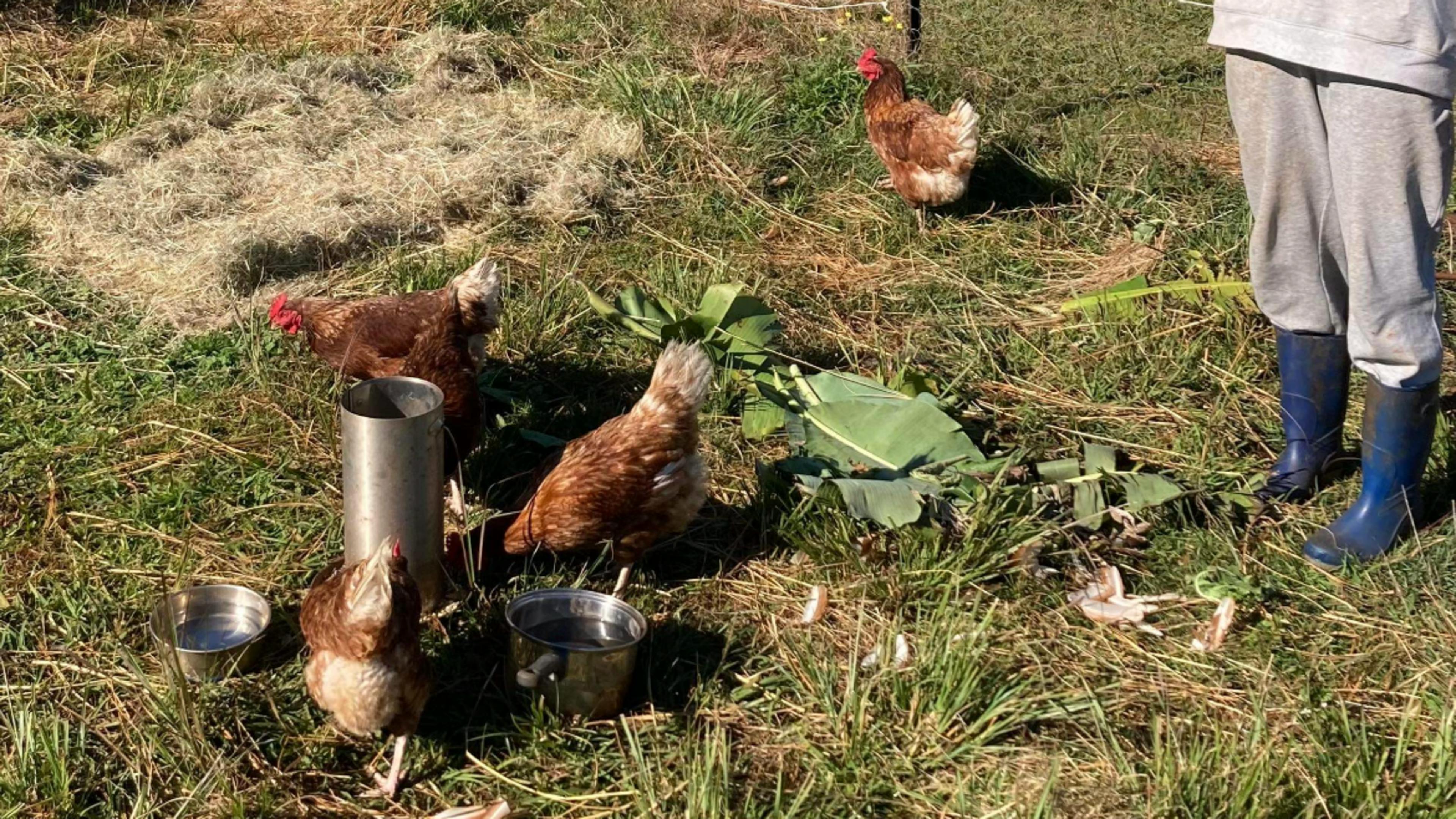 Eden Creek Sanctuary