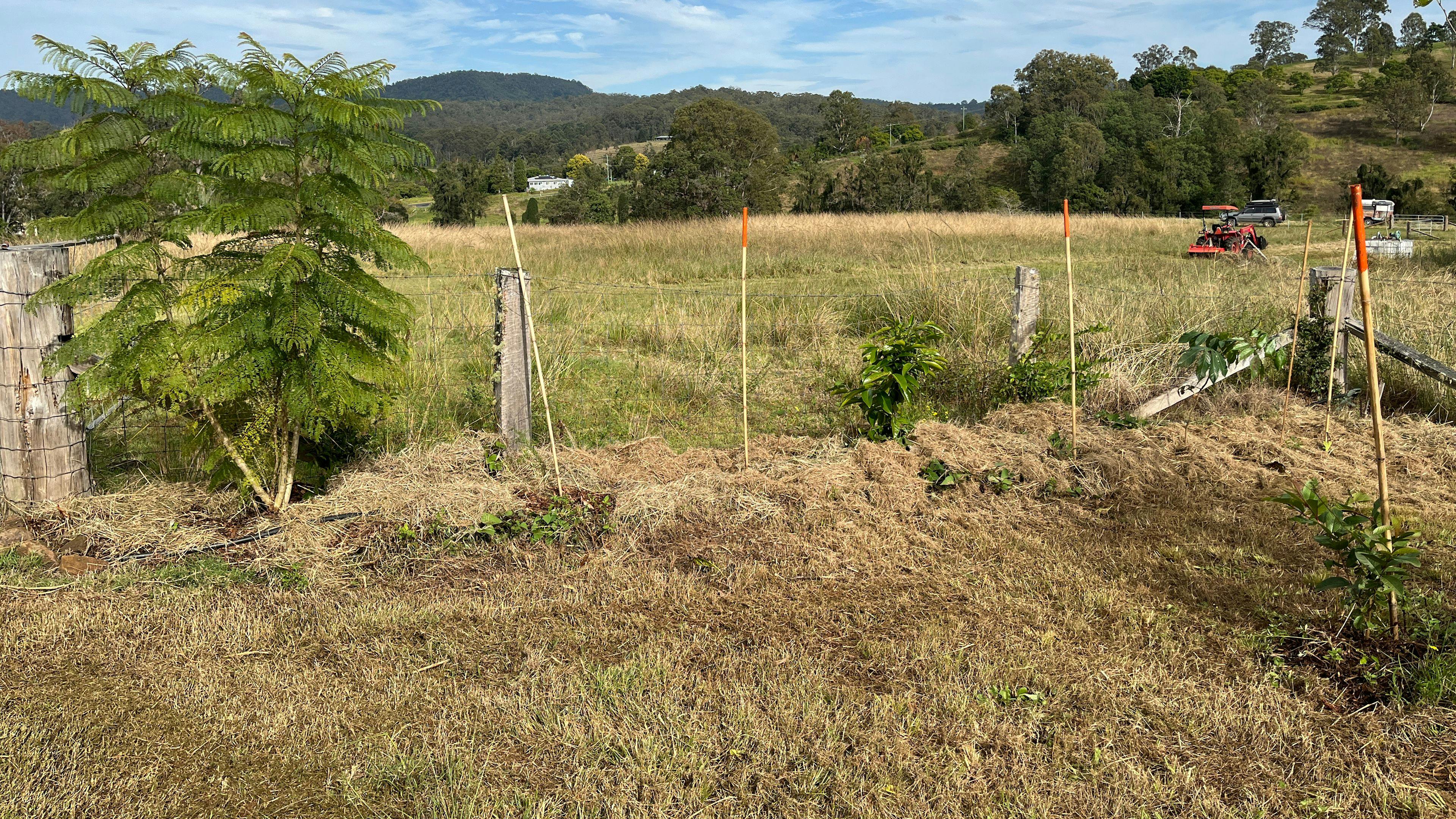Eden Creek Sanctuary
