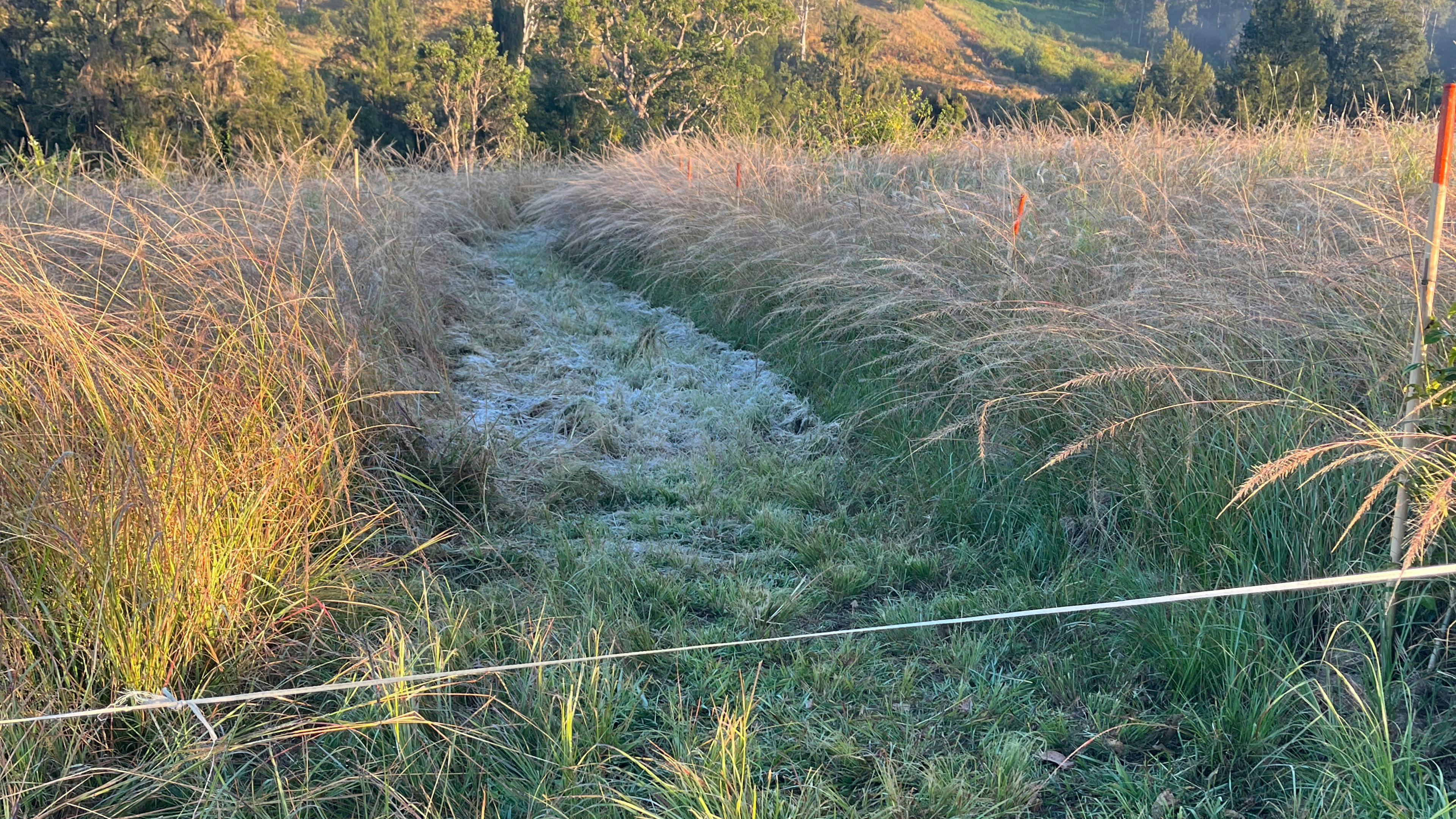 Eden Creek Sanctuary