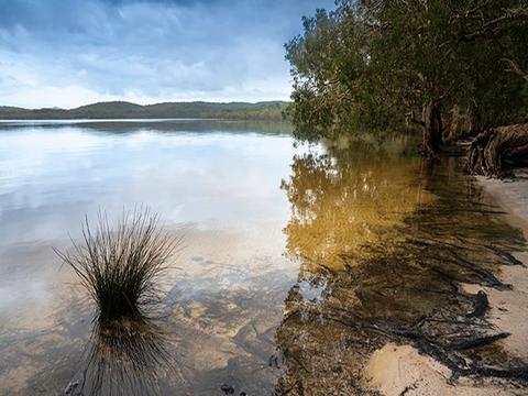 Sandy shallows of Two Mile Lake with wooded shoreline and views to the distant shore. Photo: John Sp