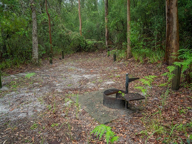 View of sandy camping area with wood barbecue, surrounded by trees and lush green undergrowth. Photo