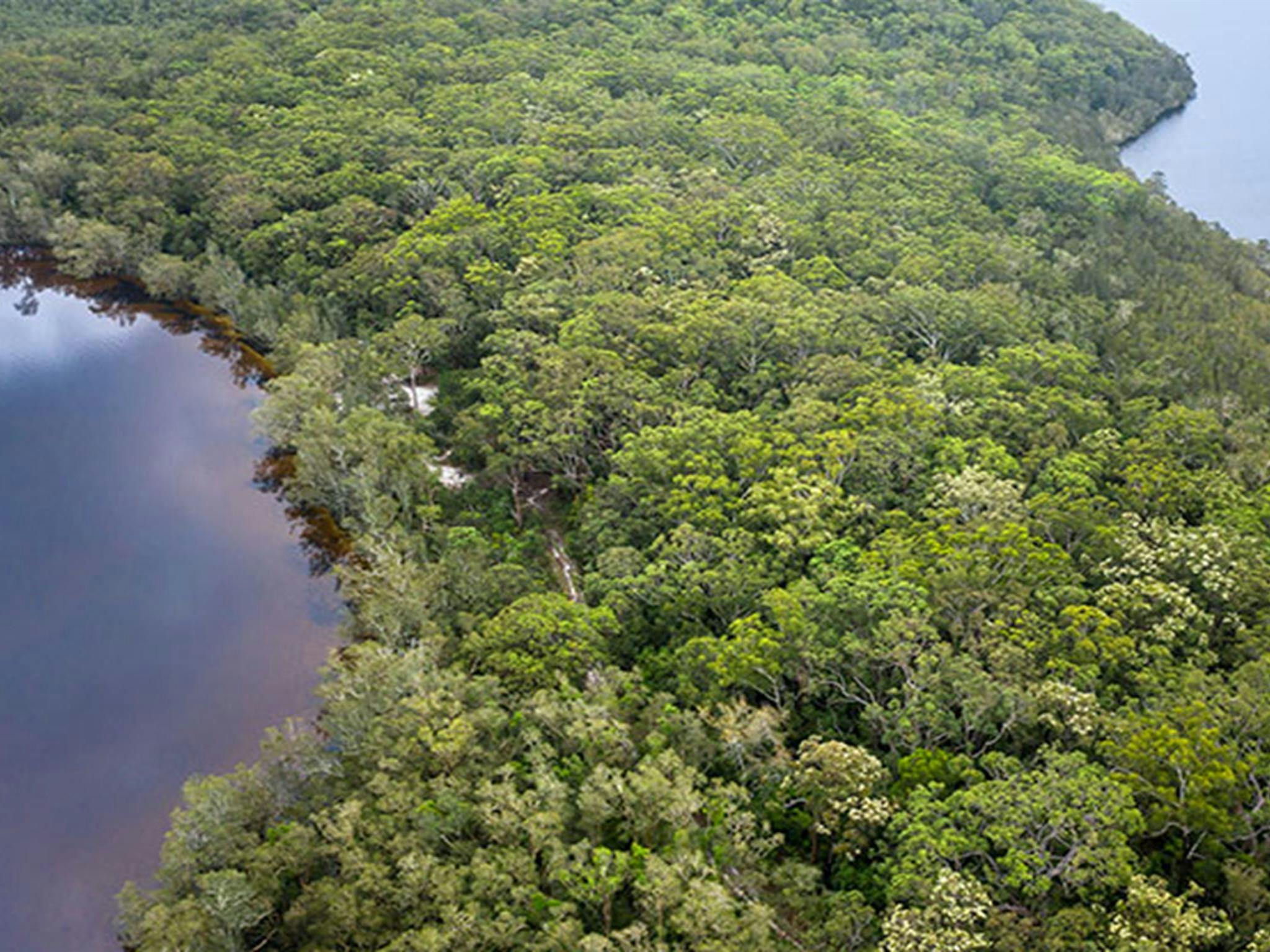 Aerial view of Freshwater campground between Two Mile Lake and neighbouring Boolambayte Lake. Photo: