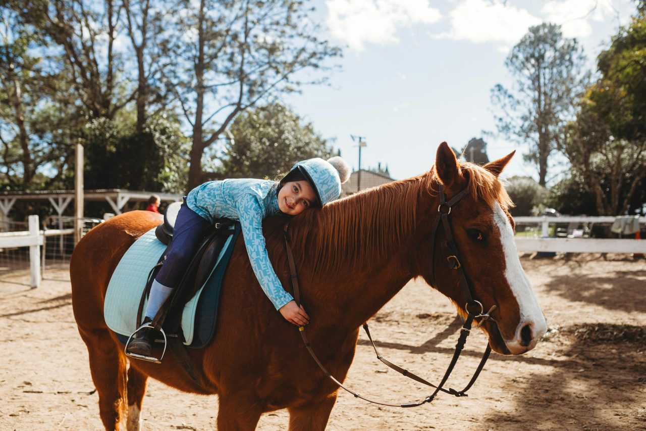 Horse cuddles