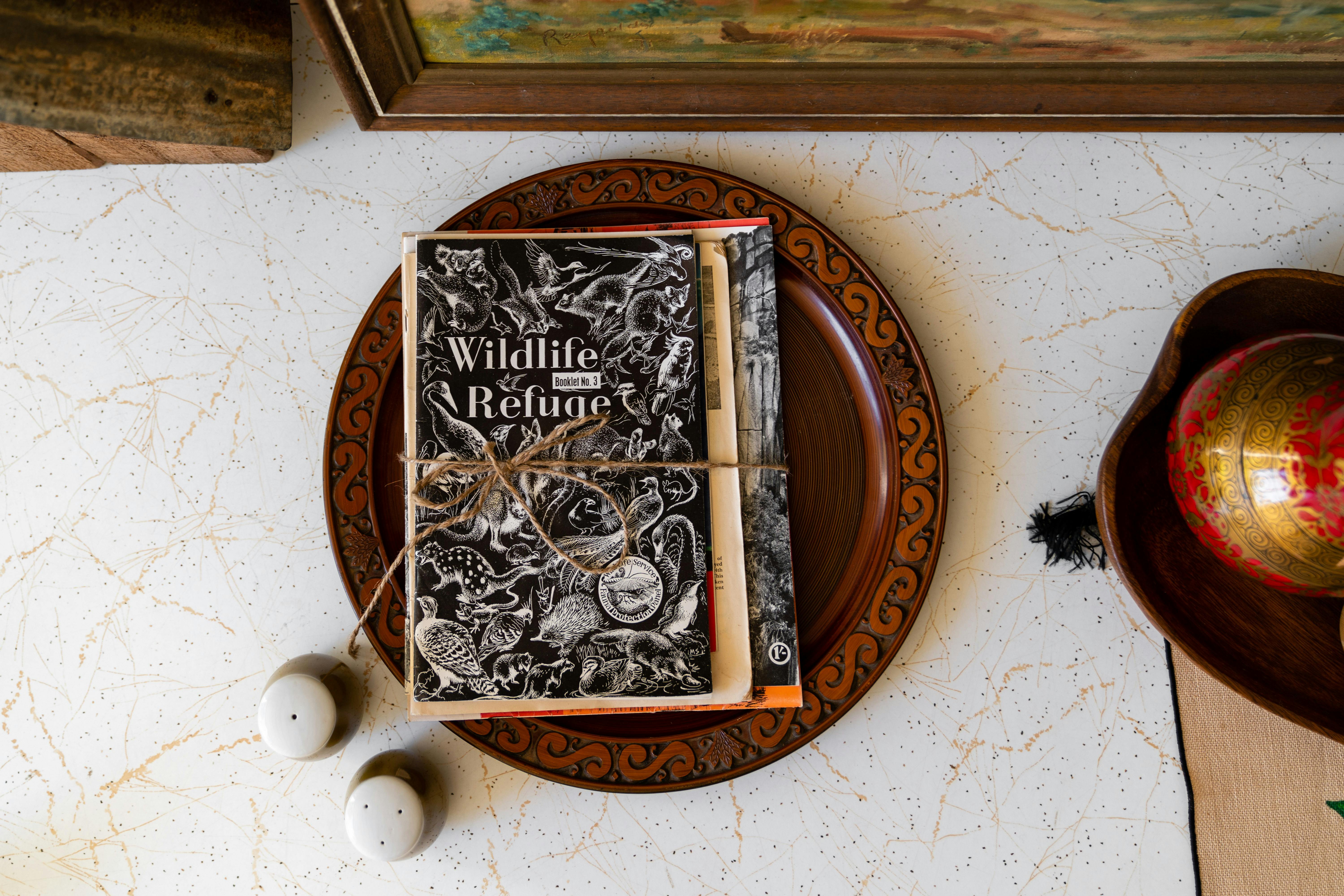 A Wildlife Sanctuary