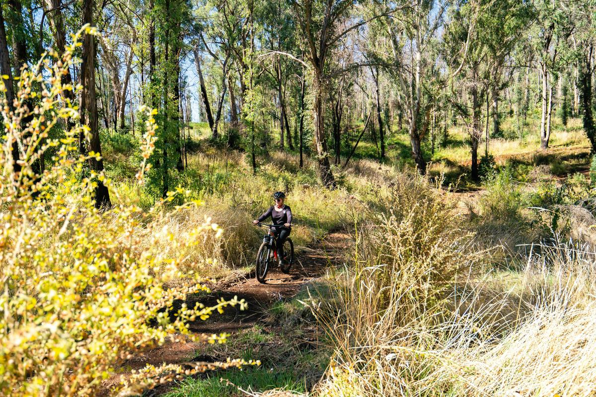 MTB @ Endor