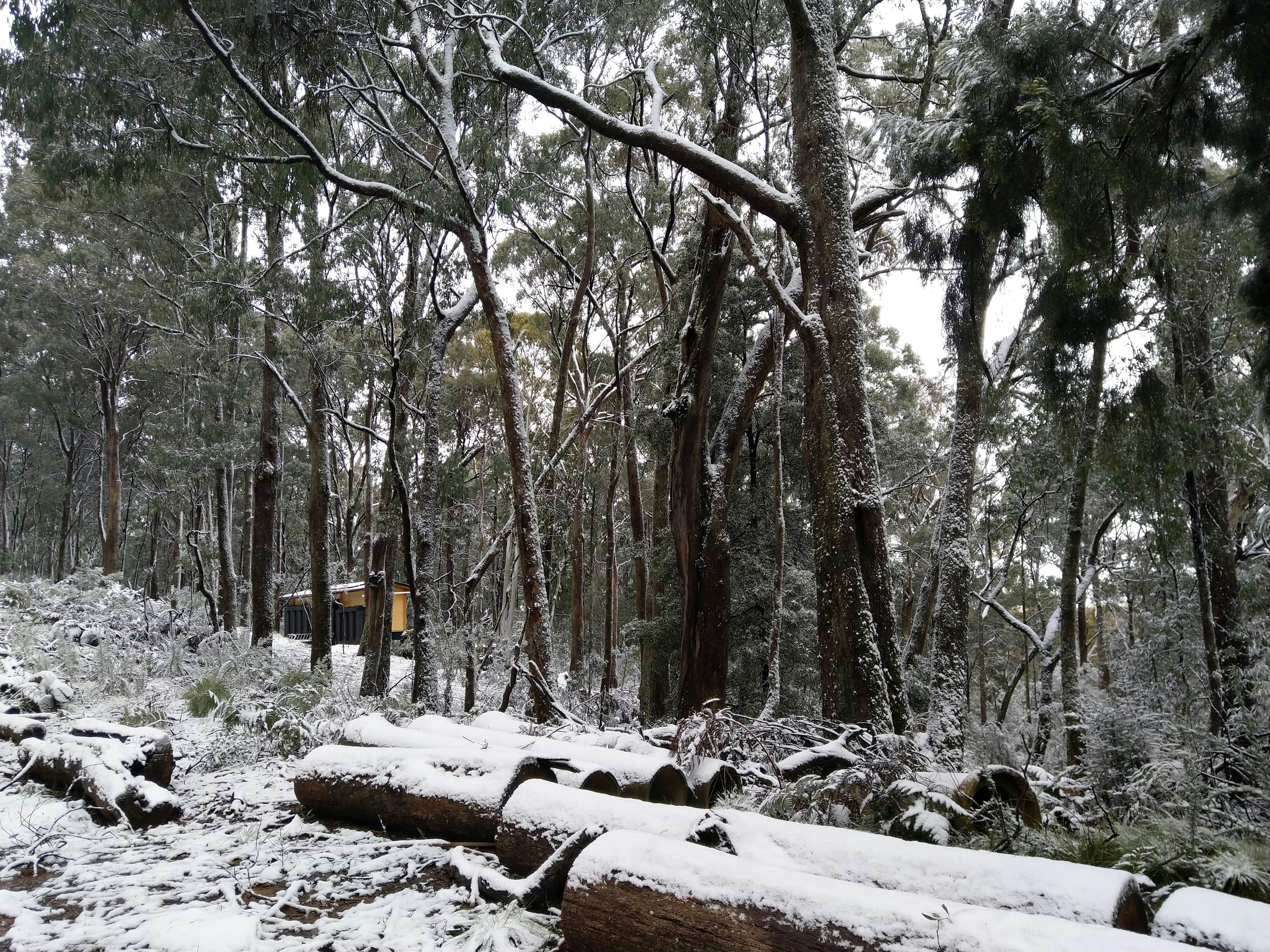 Winter Time at Endor