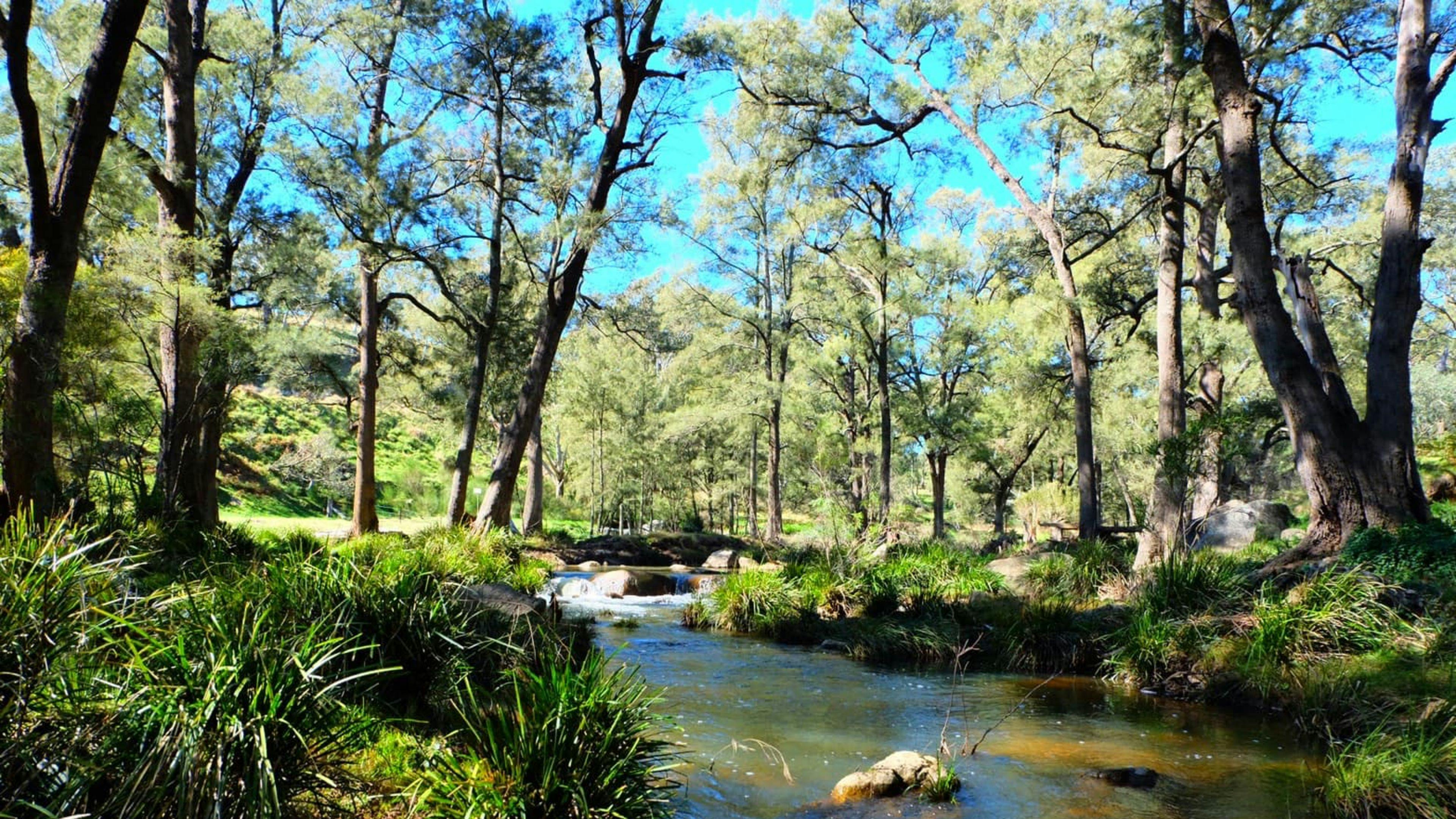 Glenroy Cottages and Camping