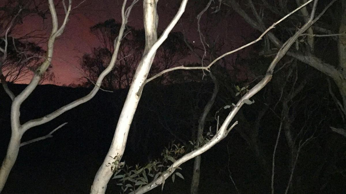 Ghostwood