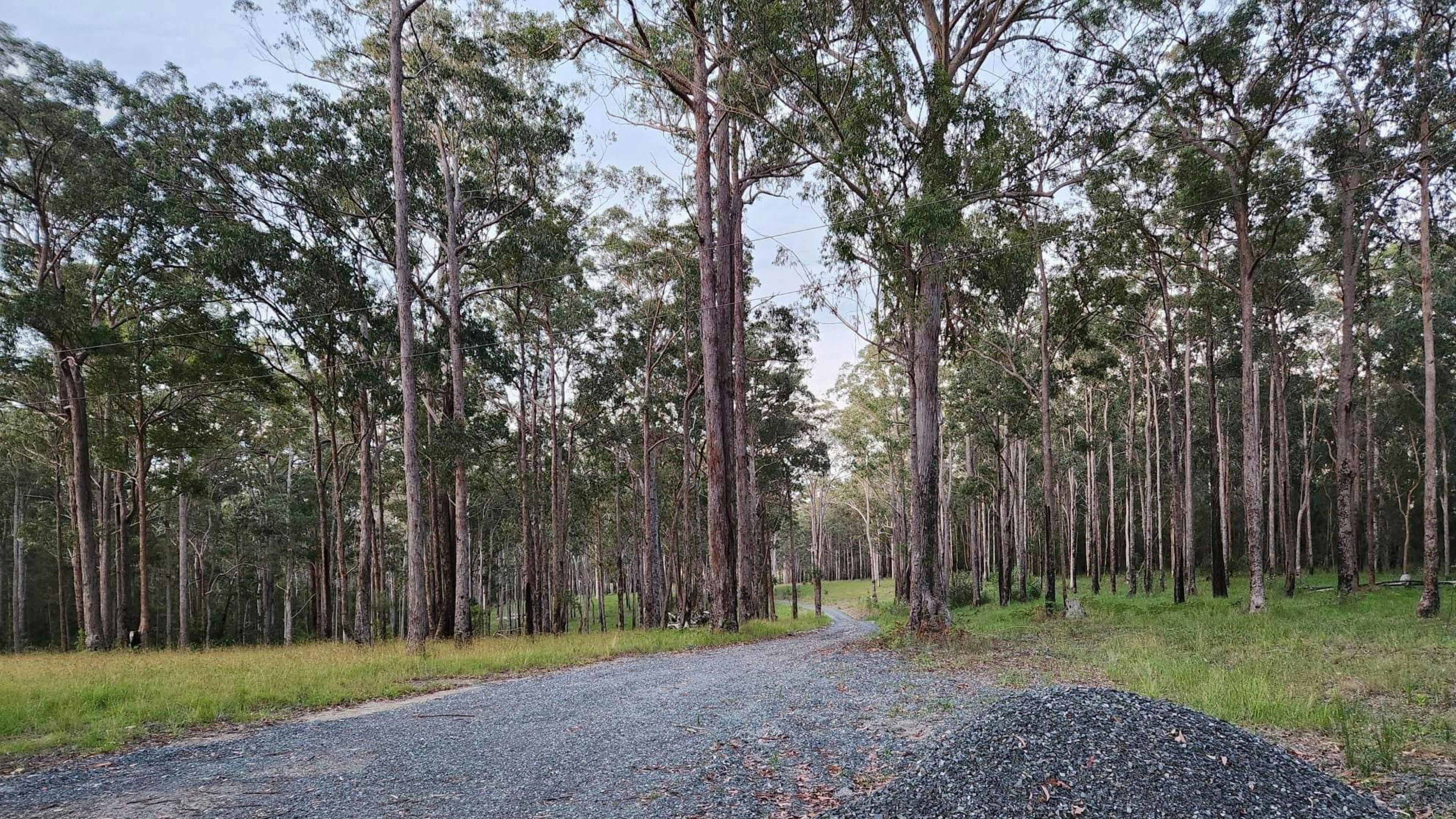 Heartwood - tranquility