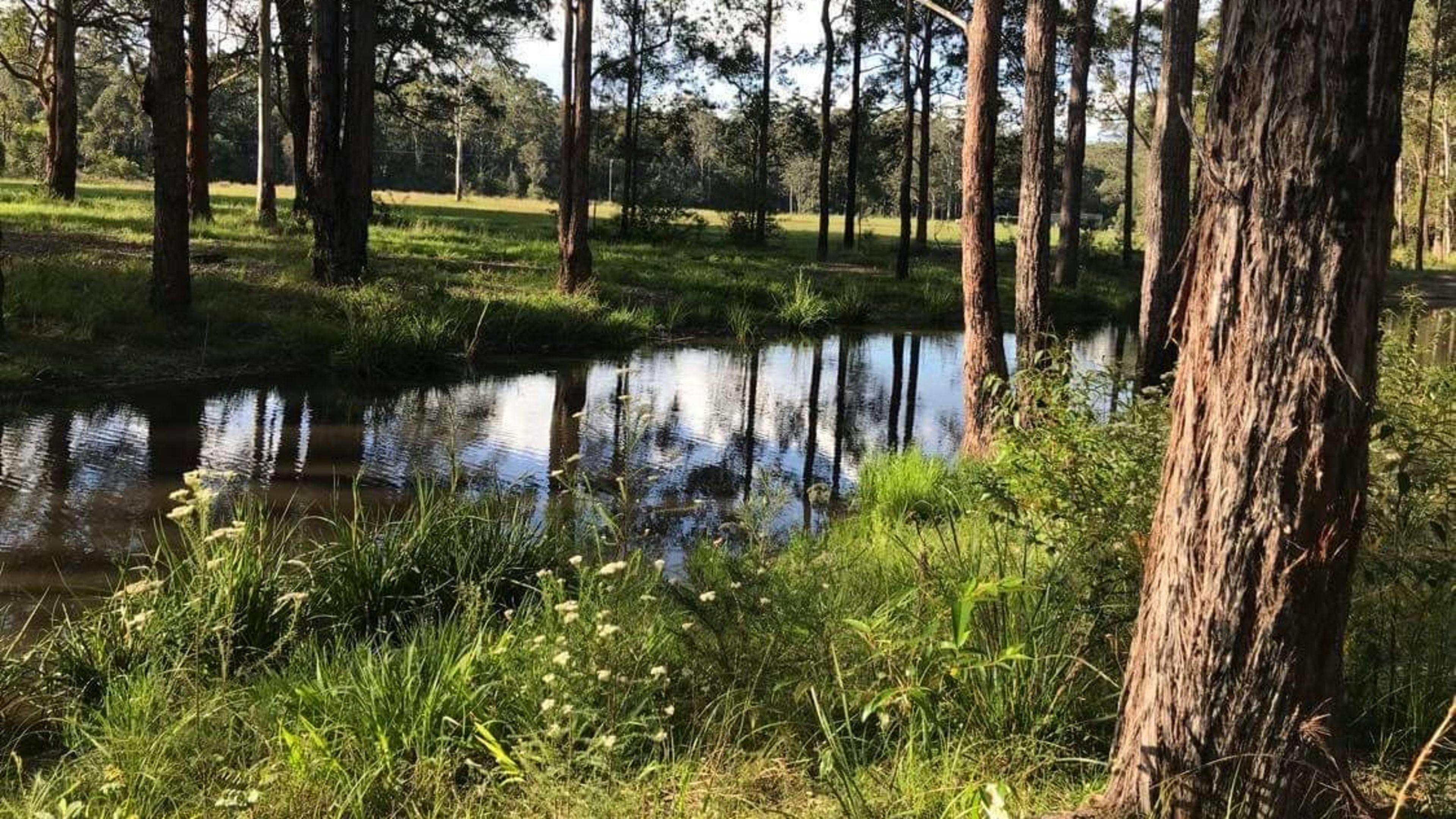 Heartwood - tranquility