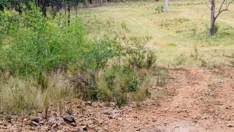 Greenridge Hunter Valley