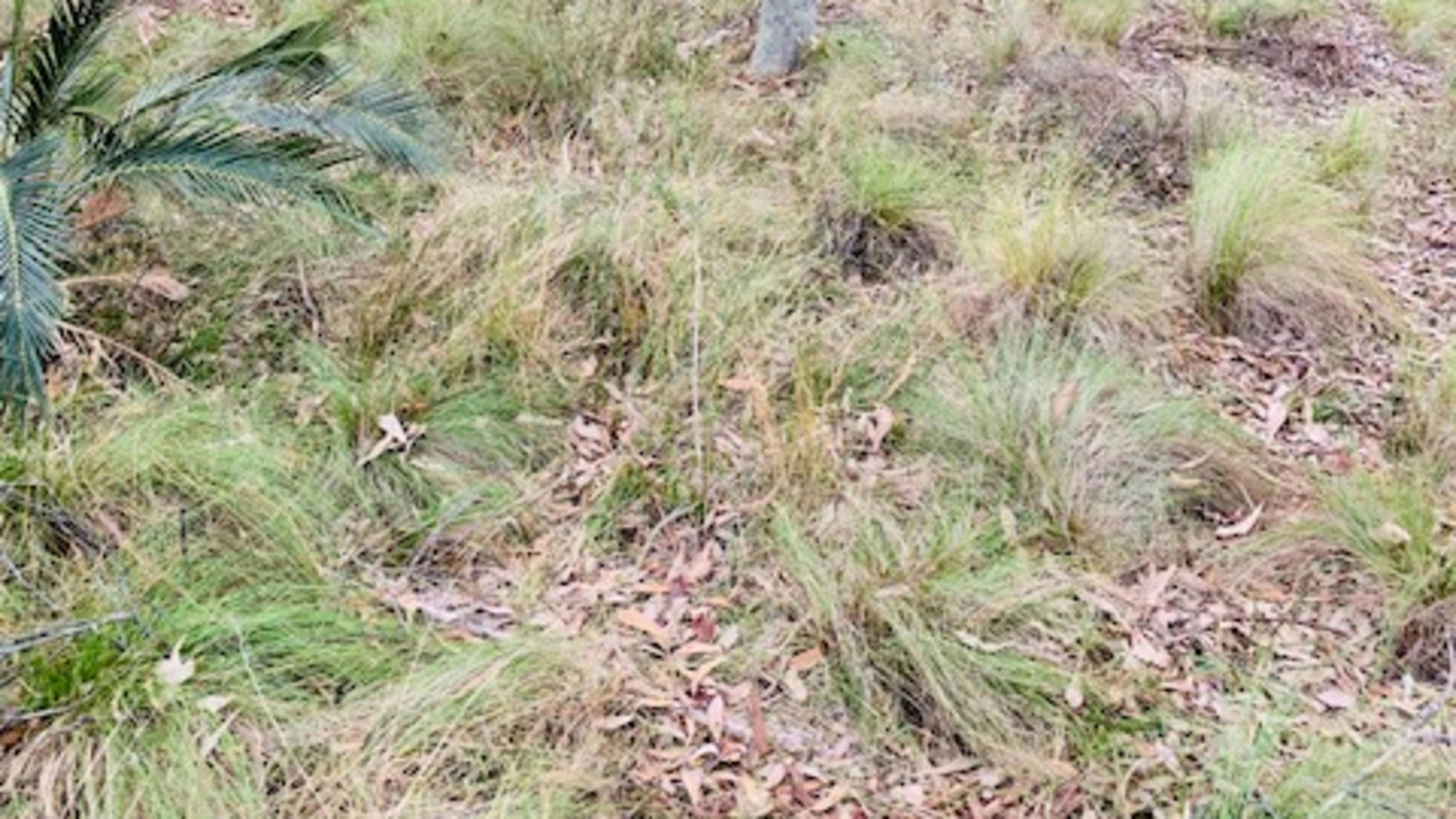 Greenridge Hunter Valley