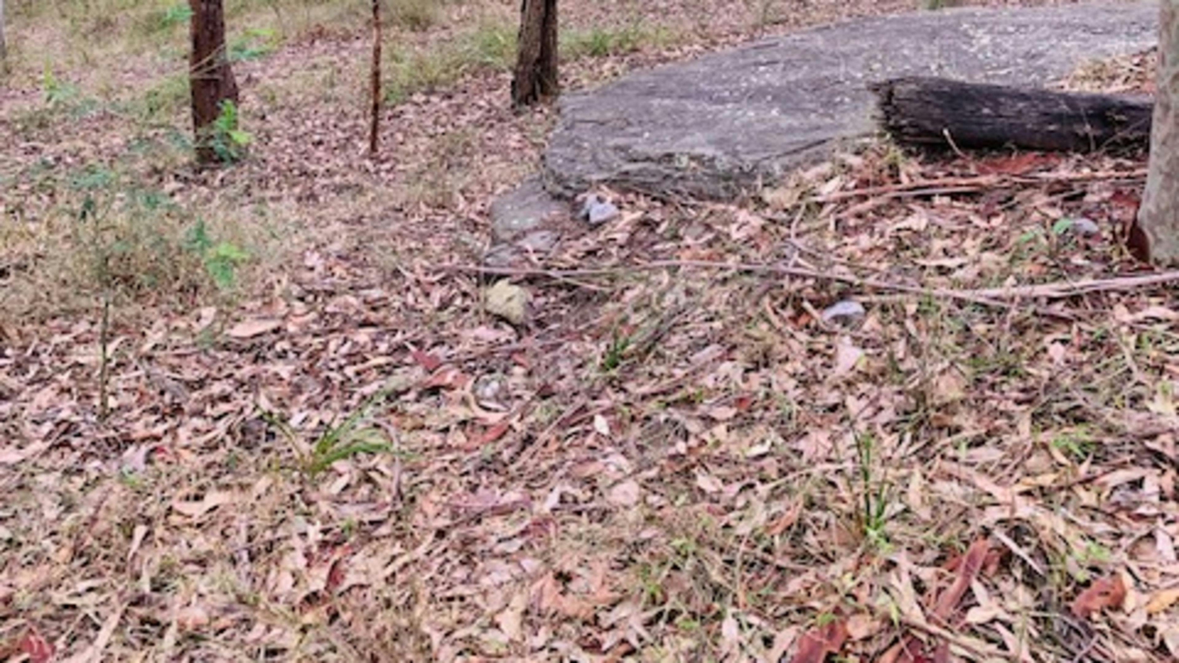 Greenridge Hunter Valley